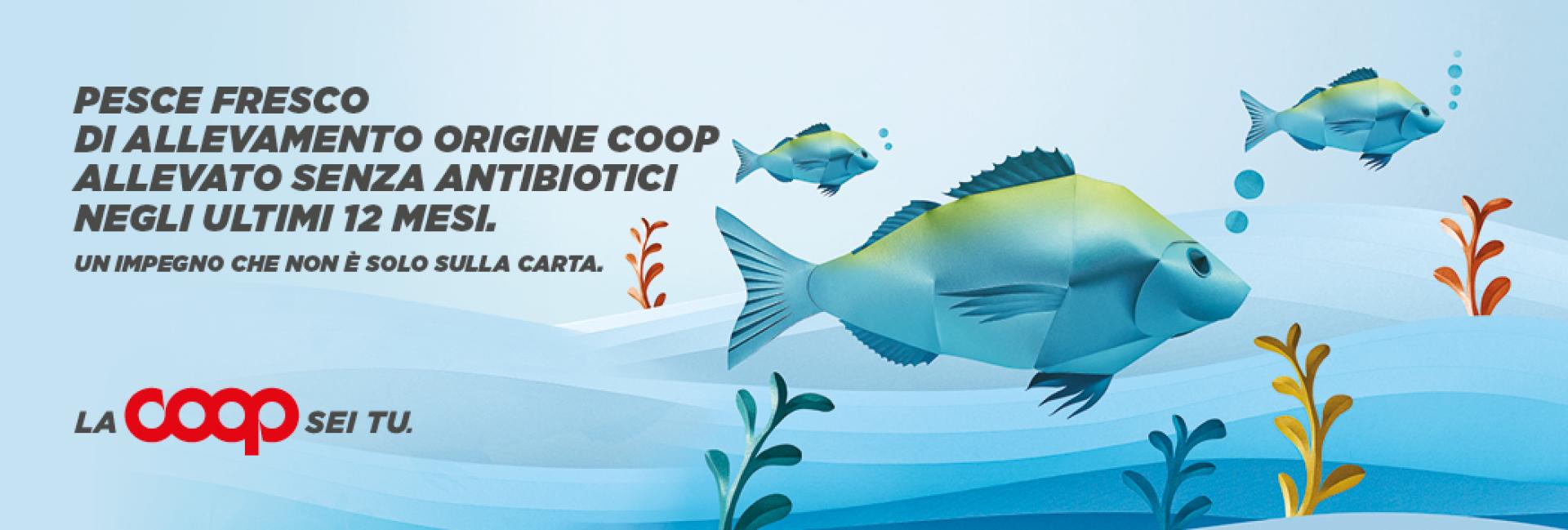 Pesce Coop allevato senza antibiotici negli ultimi 12 mesi
